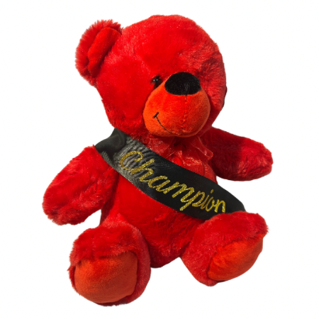 Bear with Achievement Sash